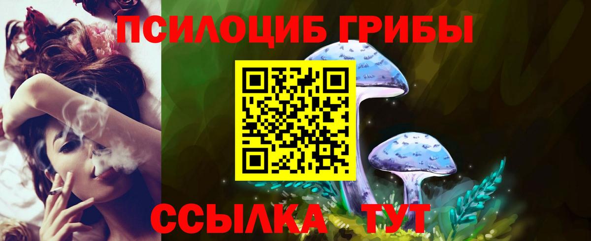 Галлюциногенные грибы мухоморы  Галлюциногенные грибы Magic Shrooms  Вход с VPN  Камышлов 